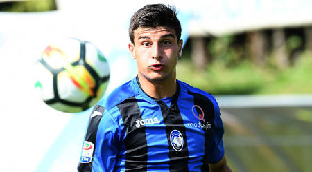 舍夫勒需要 舍夫勒需要