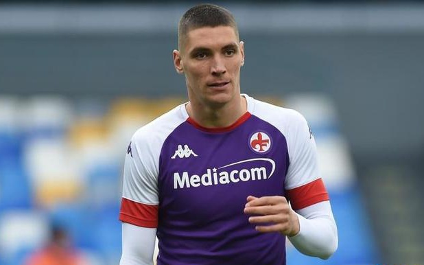 已经迅速成 已经迅速成