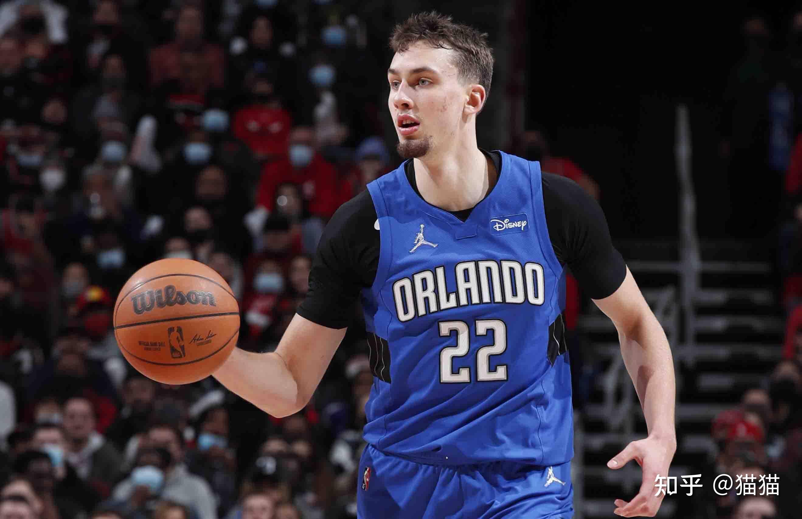 这位已续约 这位已续约