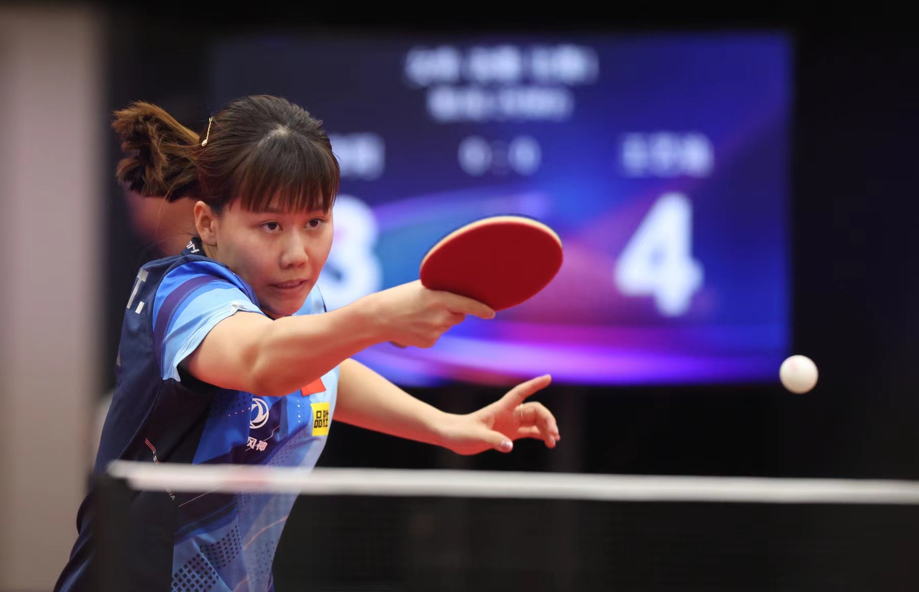 分化的运动 分化的运动